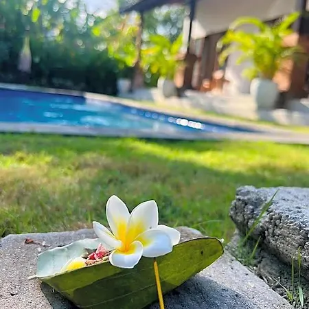 Wiryaroja Guest House